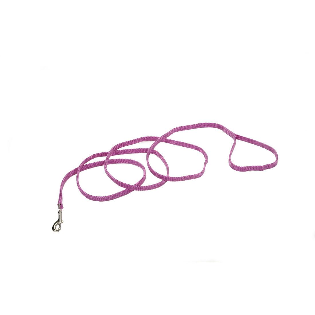 Sunburst Dog Leash, Orchid
