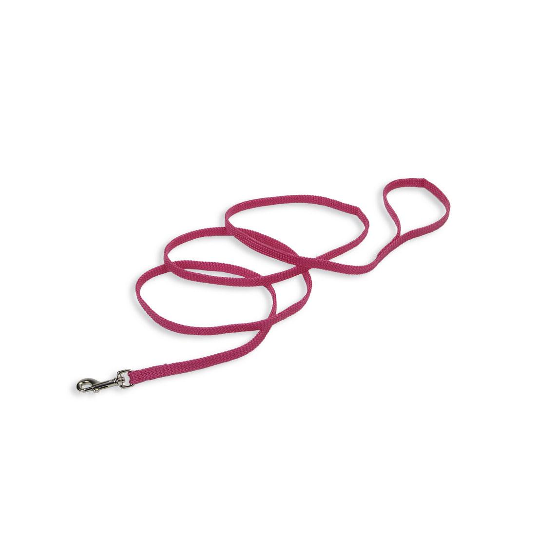 Sunburst Dog Leash, Pink Flamingo
