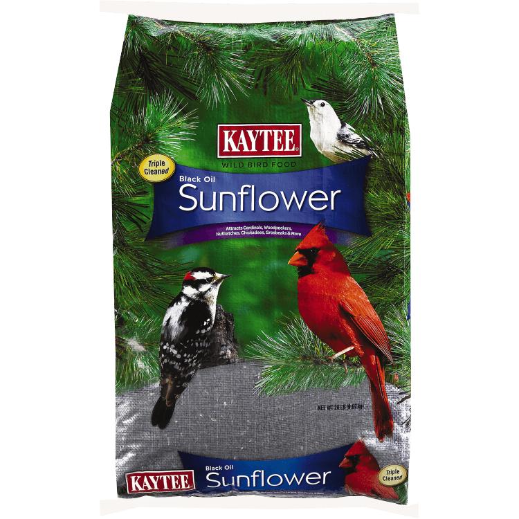 Kaytee Black Oil Sunflower Wild Bird Food, 20-lb