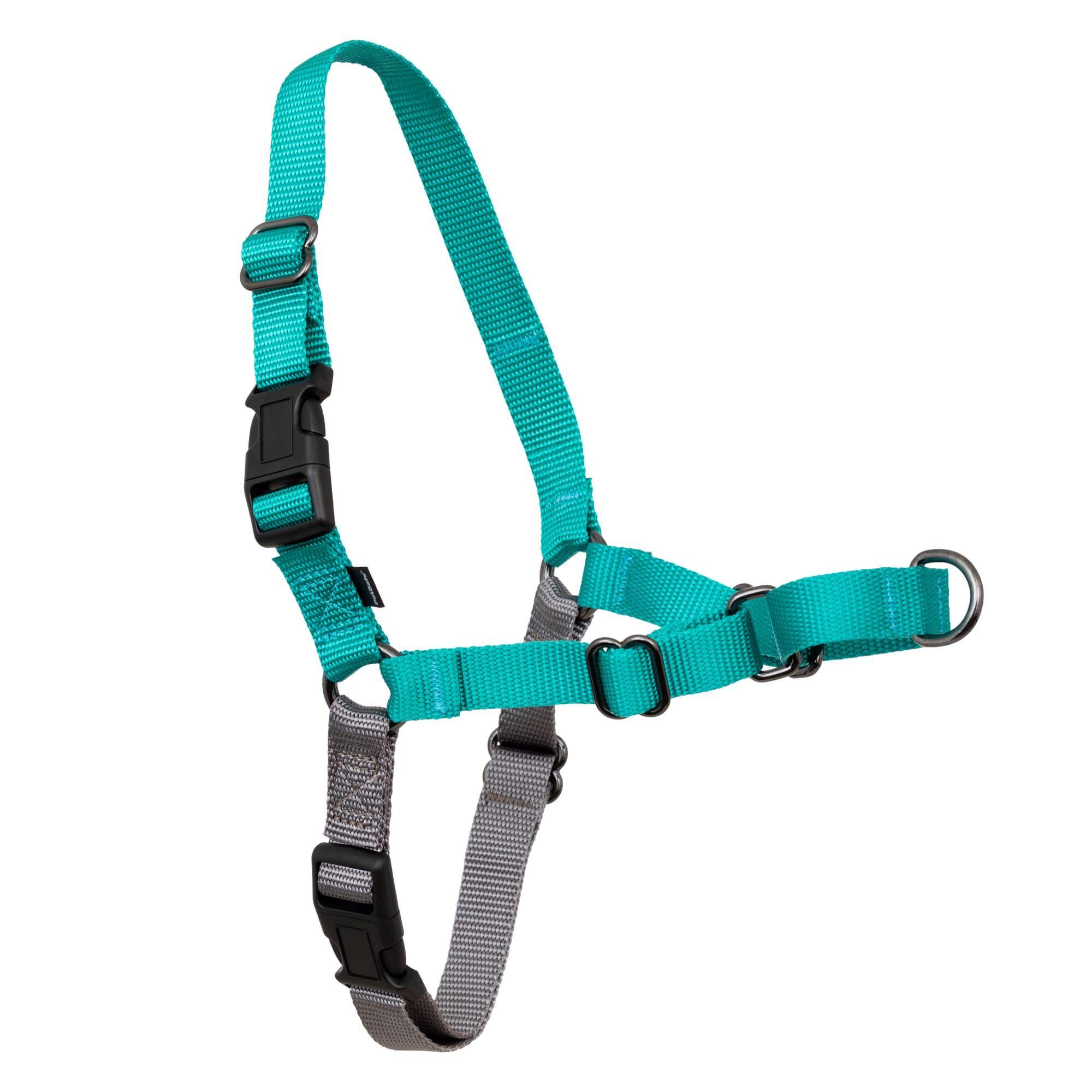PetSafe Easy Walk No Pull Dog Harness, Teal/Gray, Small
