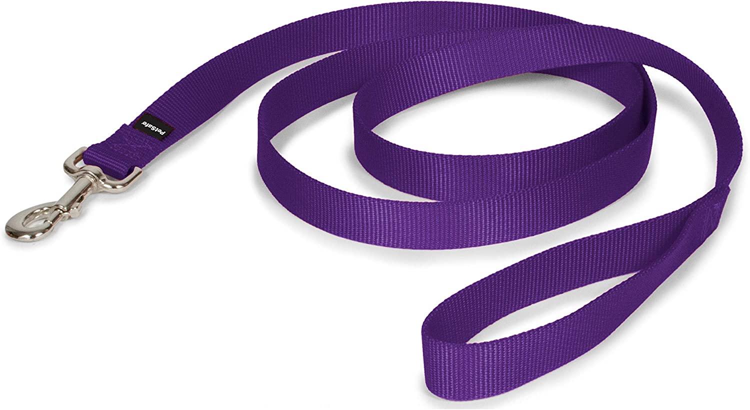 PetSafe Nylon Dog Leash, Deep Purple, 1-in x 6-ft