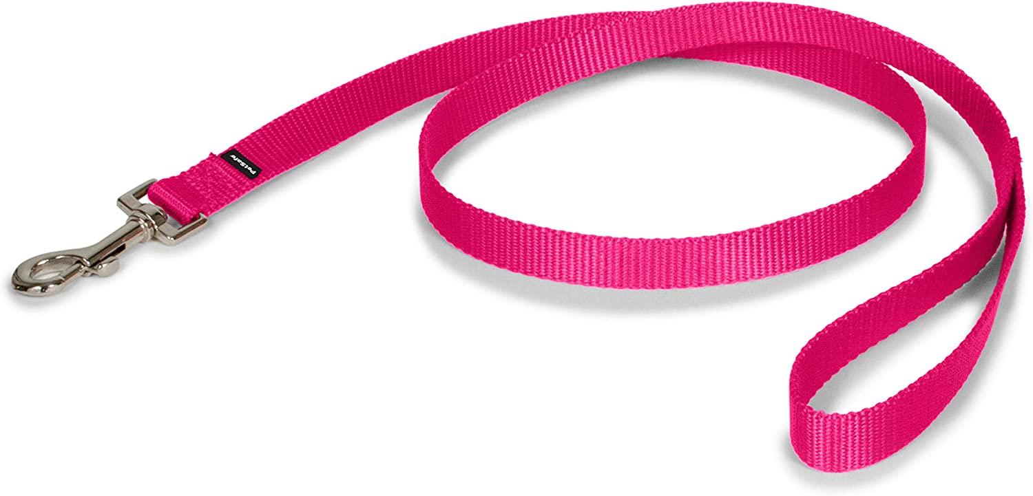PetSafe Nylon Dog Leash, Raspberry Pink, 3/4-in x 6-ft