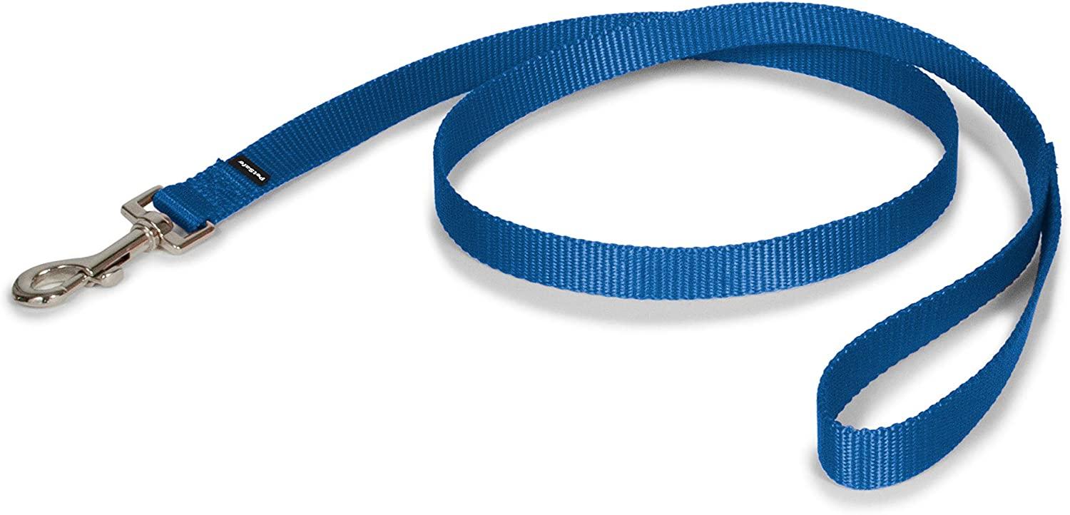 PetSafe Nylon Dog Leash, Royal Blue, 1-in x 6-ft