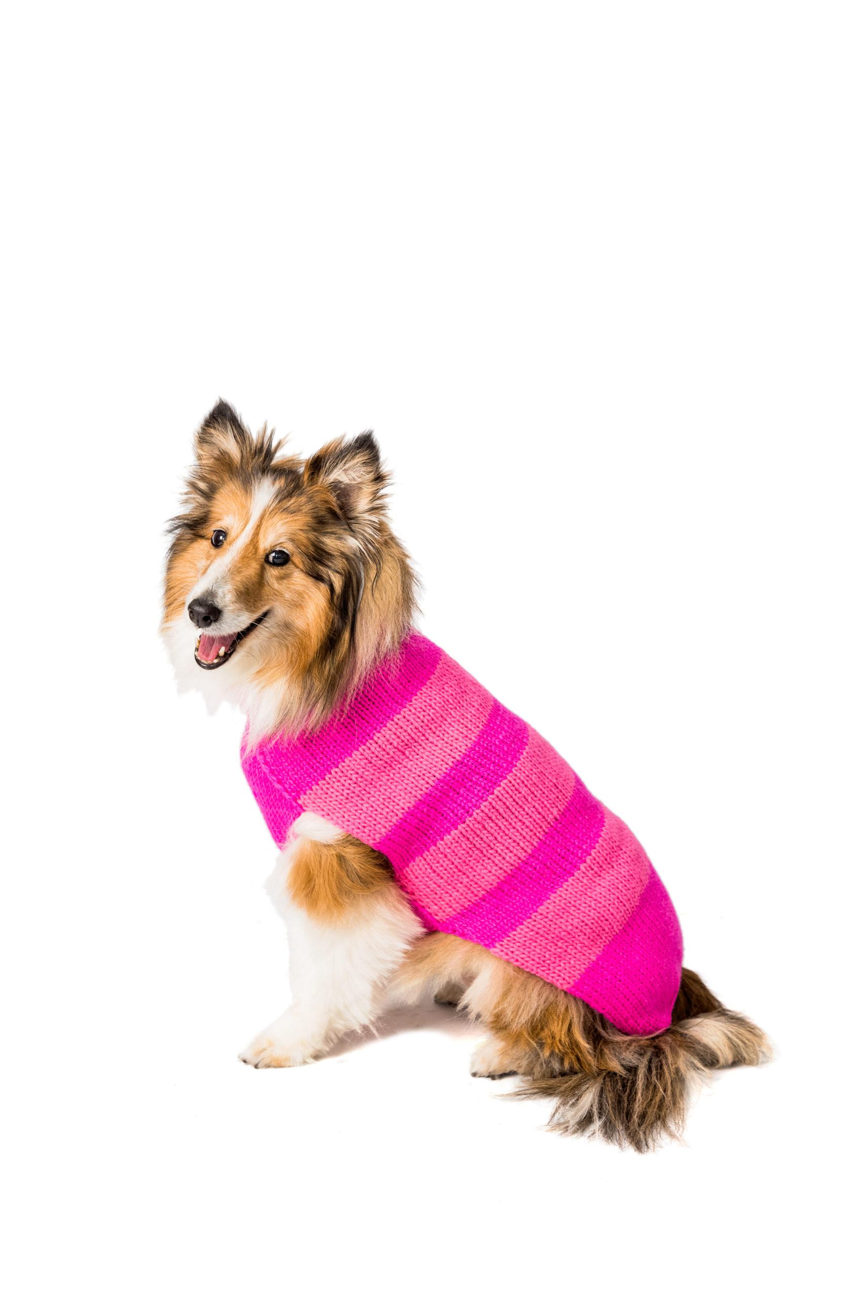 Chilly Dog Alpaca Dog Sweater, Pink on Pink, Small