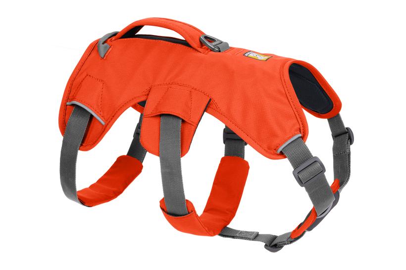 Ruffwear Web Master Harness with Handle for Dogs, Blaze Orange, XX-Small