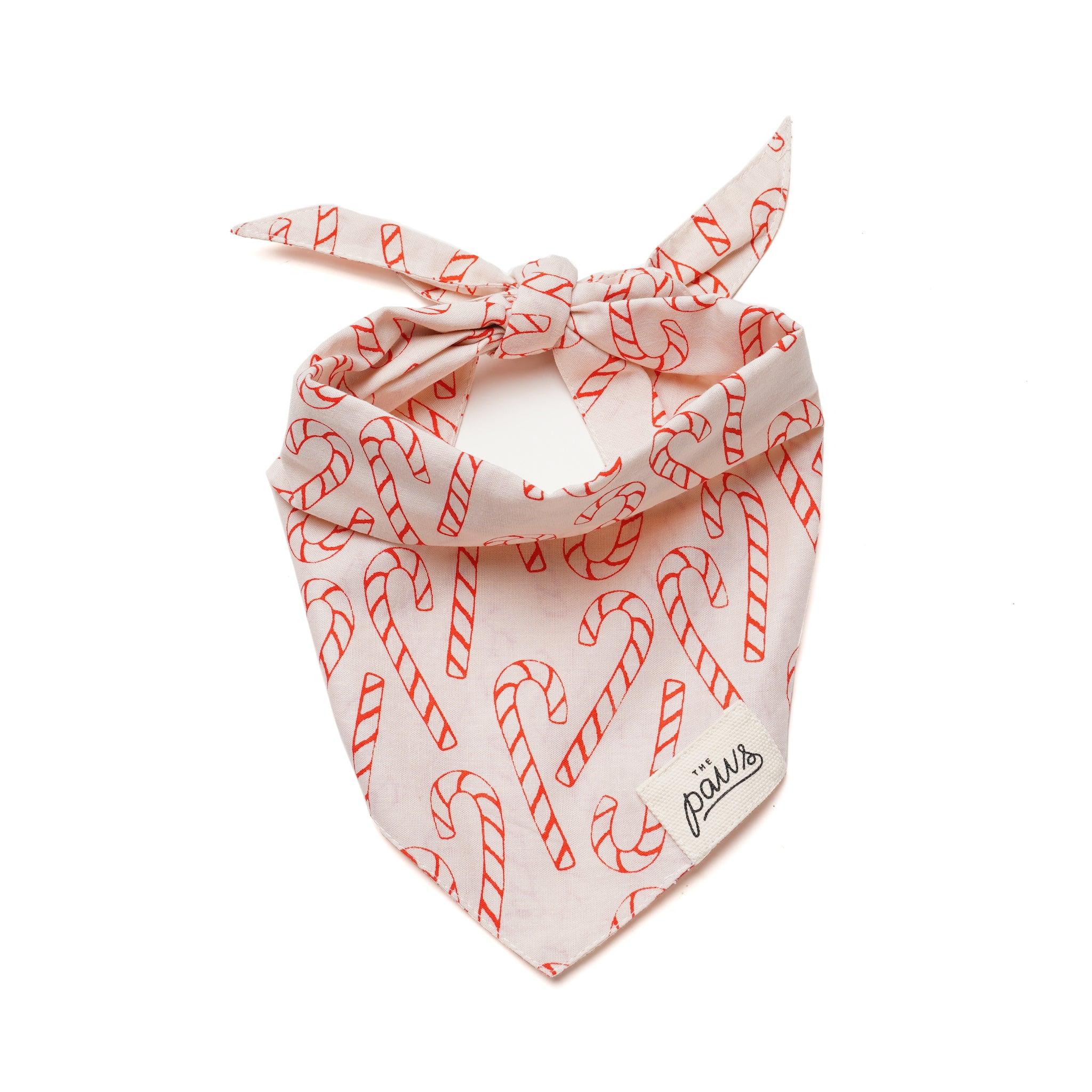 The Paws Dog Bandana, Elfie