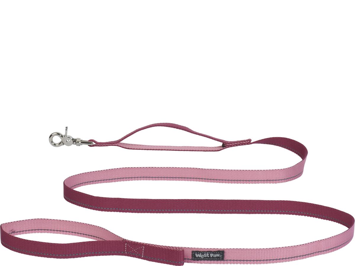 West Paw Strolls Laisse réfléchissante avec poignée de sécurité pour chiens, Rose, Grand