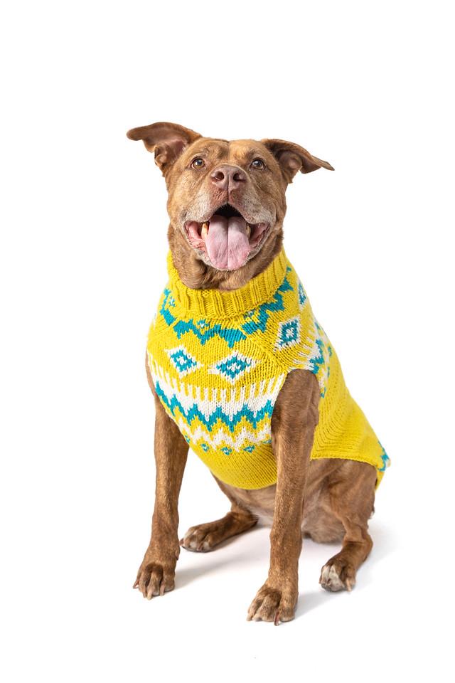 Chilly Dog Fairisle Wool Dog Sweater, Electric Yellow, X-Large