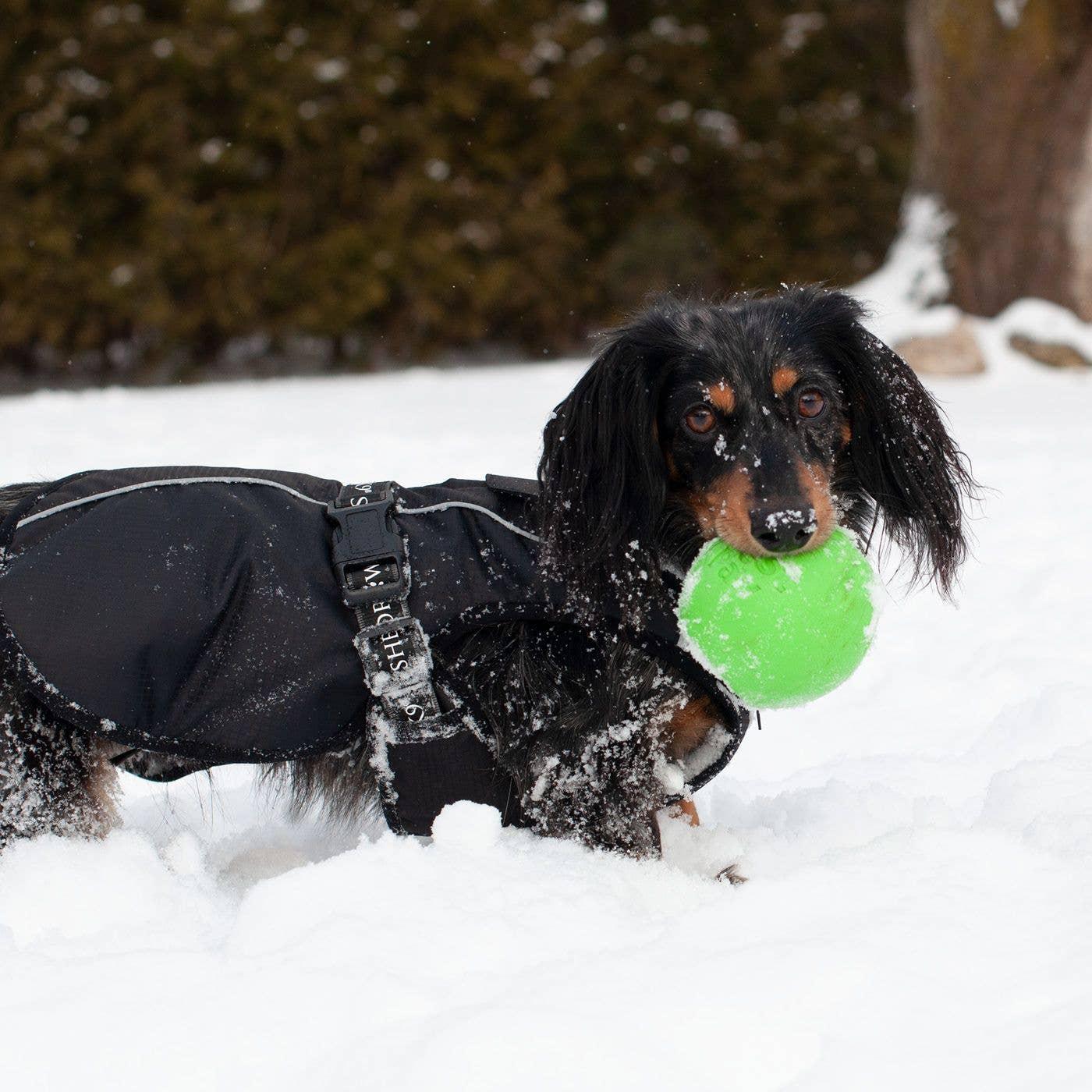 Shedrow K9 Chinook Dog Coat, Black, Medium Small