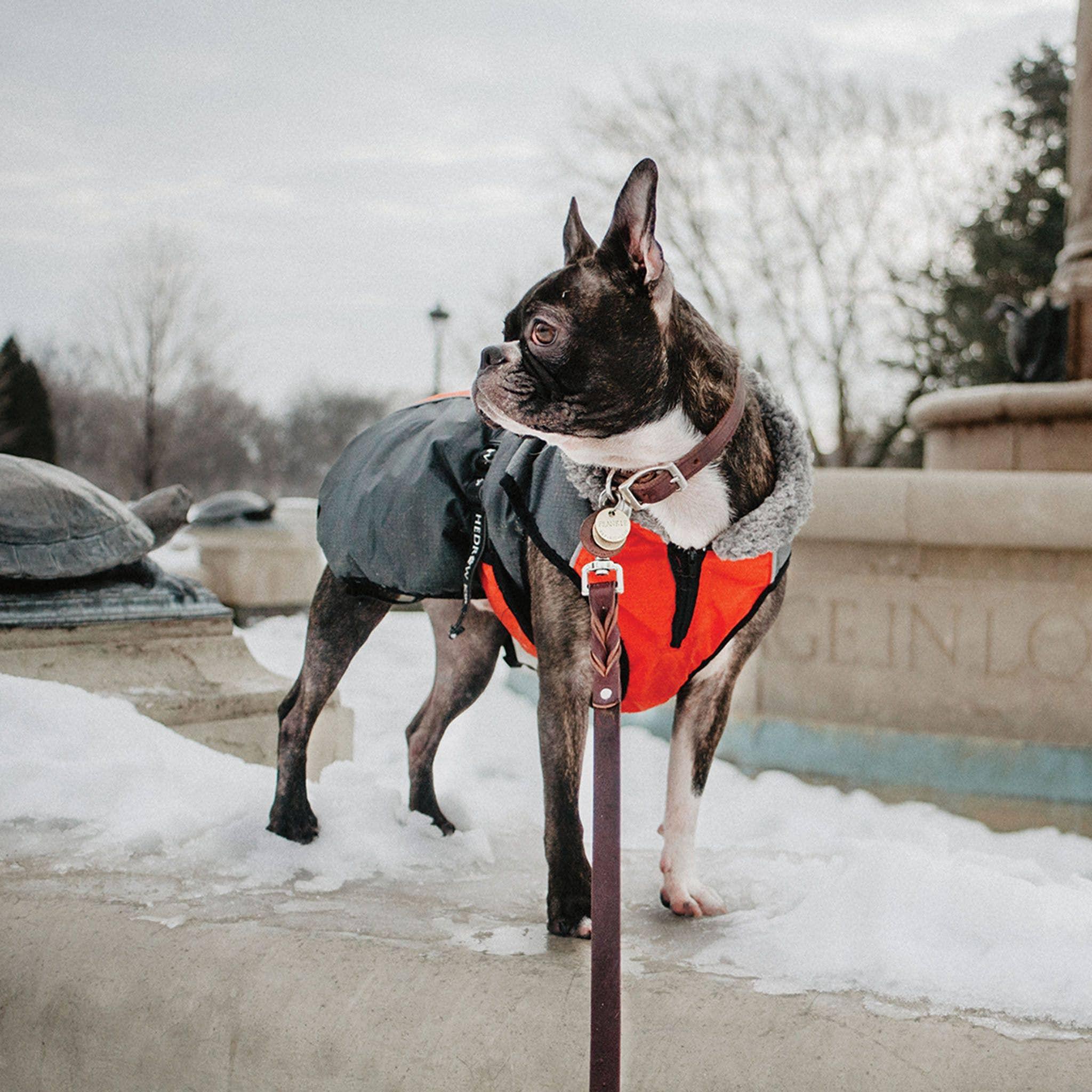 Shedrow K9 Chinook Dog Coat, Red/Grey, Medium