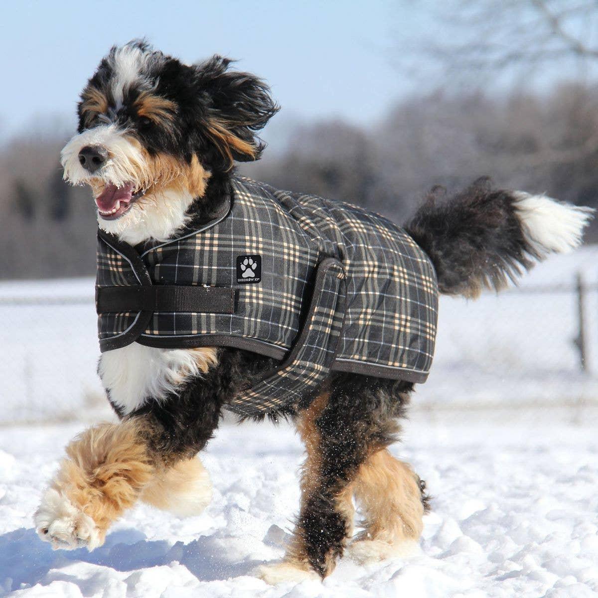 Shedrow K9 Glacier Dog Coat, Brown Plaid, Large