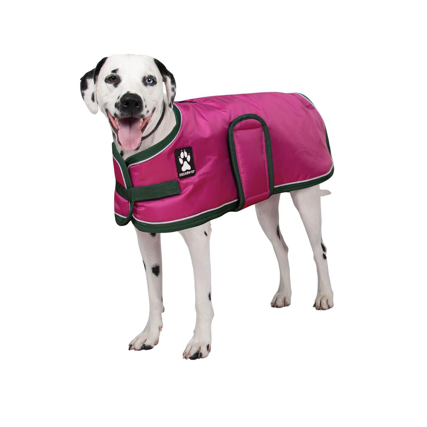 Shedrow K9 Vail Dog Coat, Festival Fuchsia, X-Small