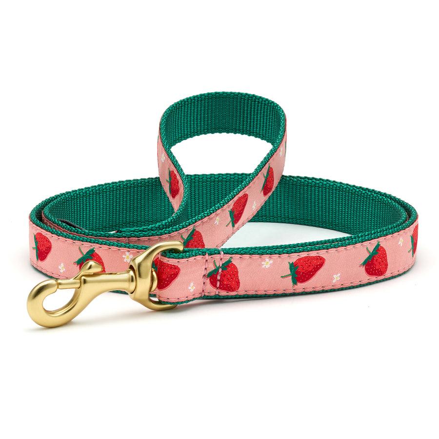 Up Country Dog Leash, Strawberry Fields, 5/8-in x 4-ft