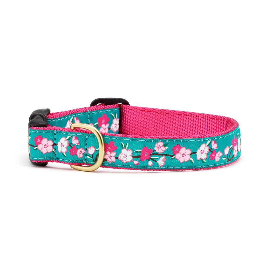 Up Country Dog Collar, Cherry Blossoms, 5/8-in x 6-12-in