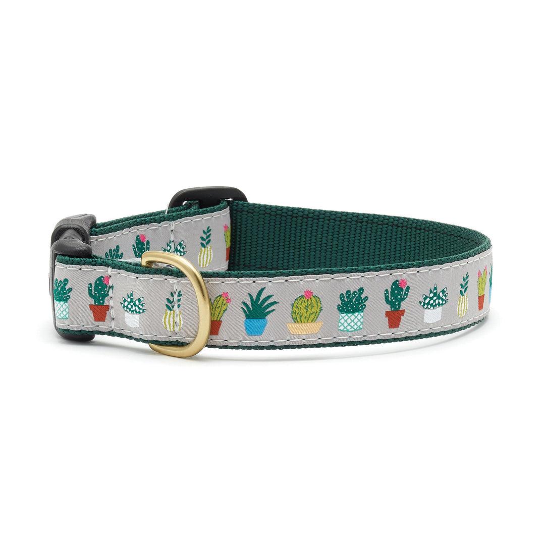 Up Country Dog Collar, Planted, 1-in x 18-24-in