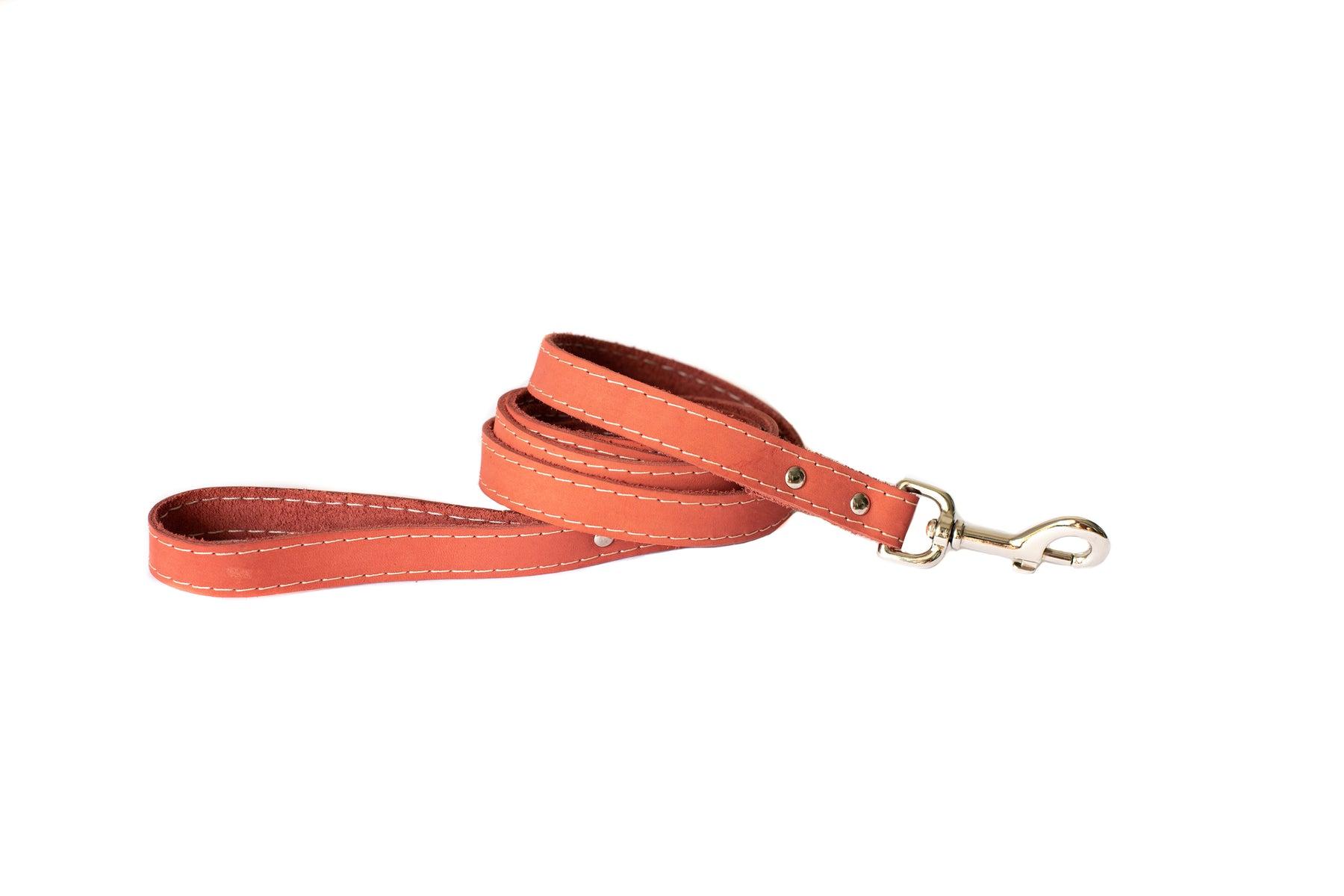 Euro-Dog Traditional Soft Leather Dog Leash, Coral, 5/8-in x 6-ft