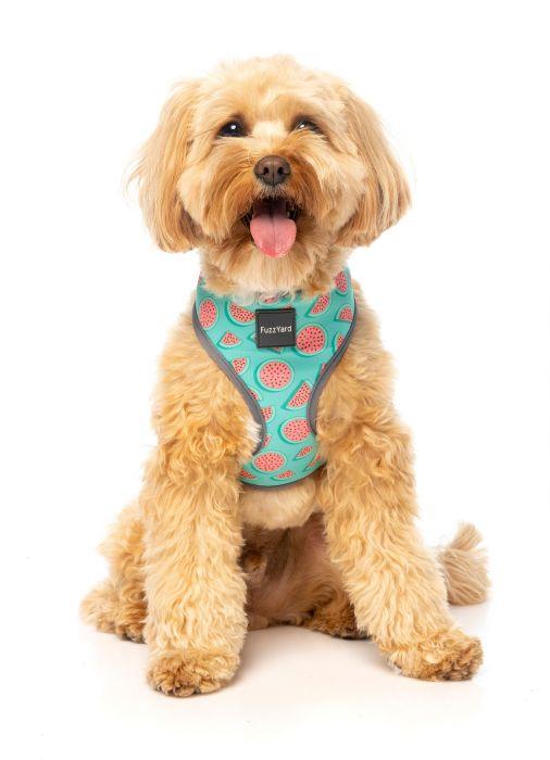 FuzzYard Dog Harness, Summer Punch, X-Small