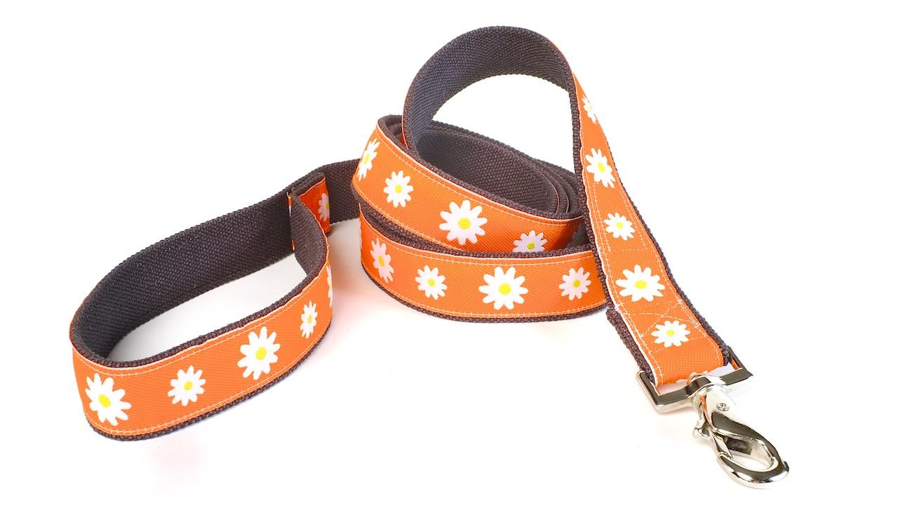 Earthdog Decorative H Dog Leash, Astrid