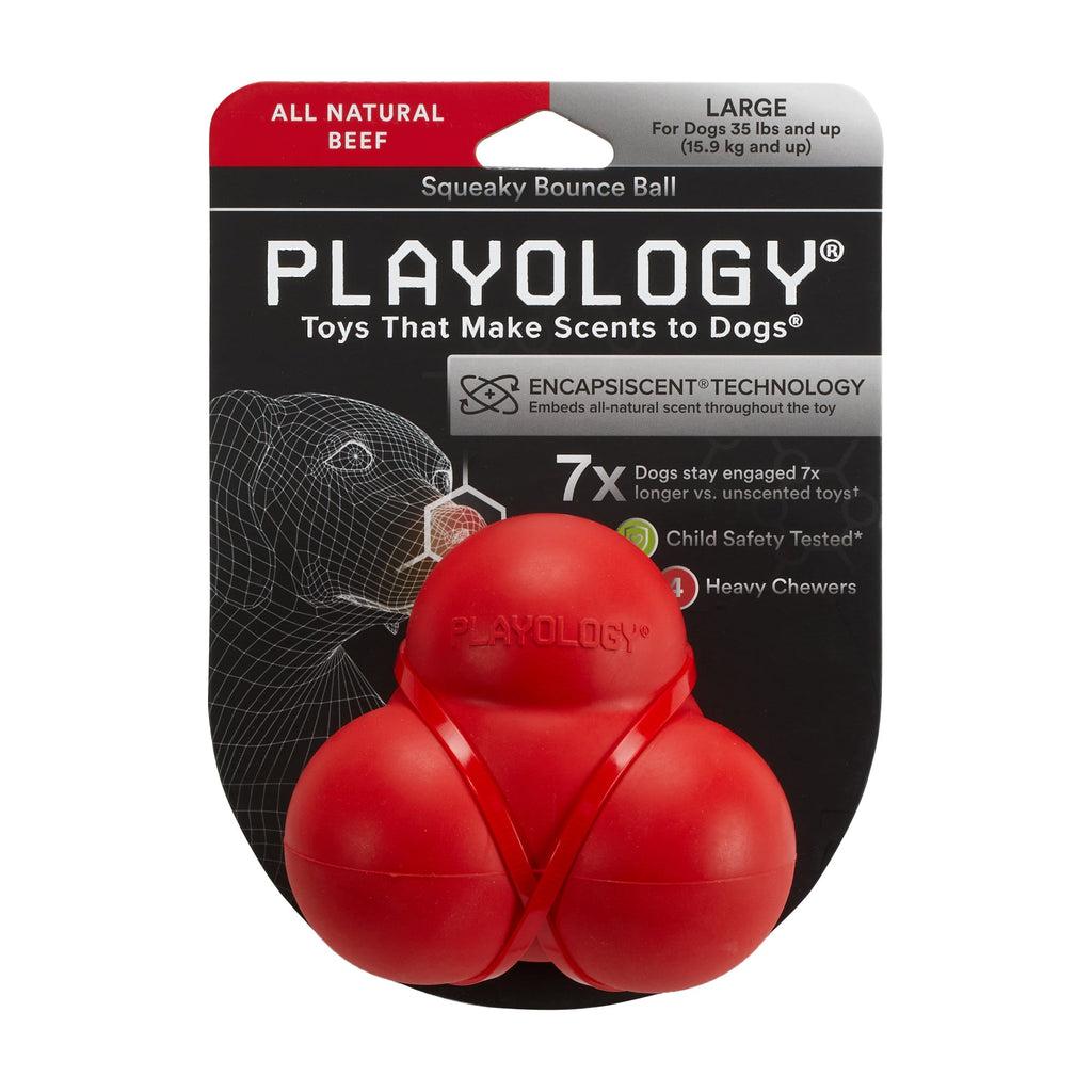 Playology All Natural Beef Scented Squeaky Bounce Ball Dog Toy, Large