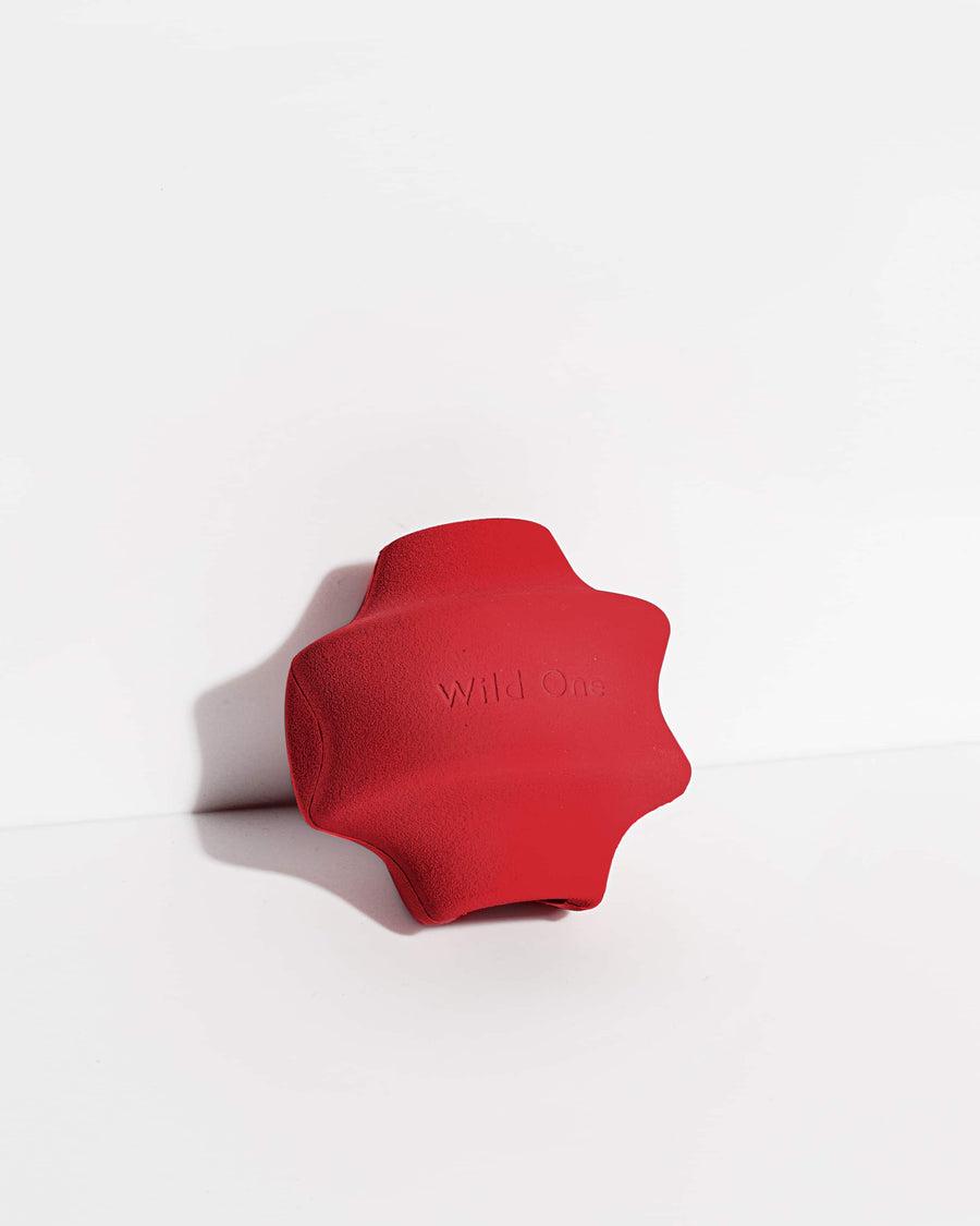 Wild One Twist Toss Dog Toy, Strawberry, Standard