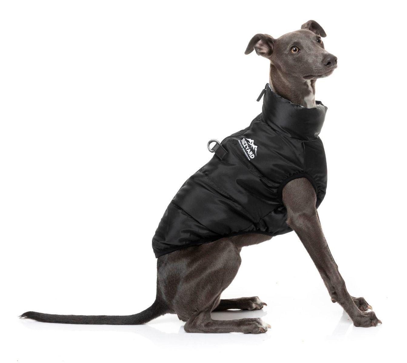 FuzzYard The Eastcoast Harness Dog Jacket, Black, Size 1
