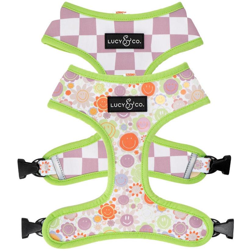 Lucy & Co. Reversible Dog Harness, The Checked Out, Medium