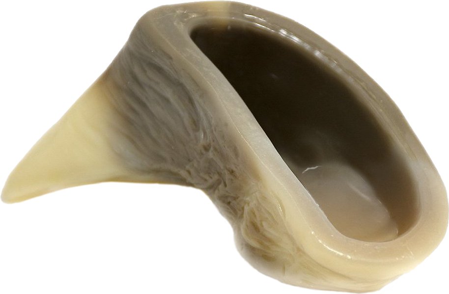 Nylabone DuraChew Hoof Bone Alternative Dog Chew Toy, Wolf