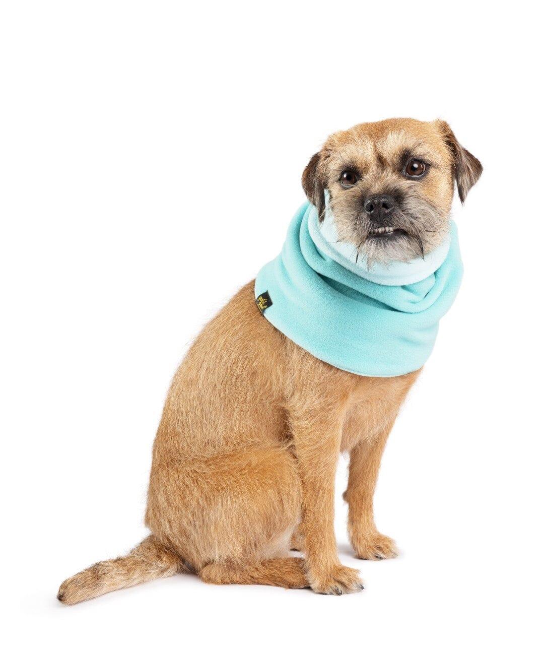 Goldpaw Dog Snood, Turquoise/Robin Egg, Medium
