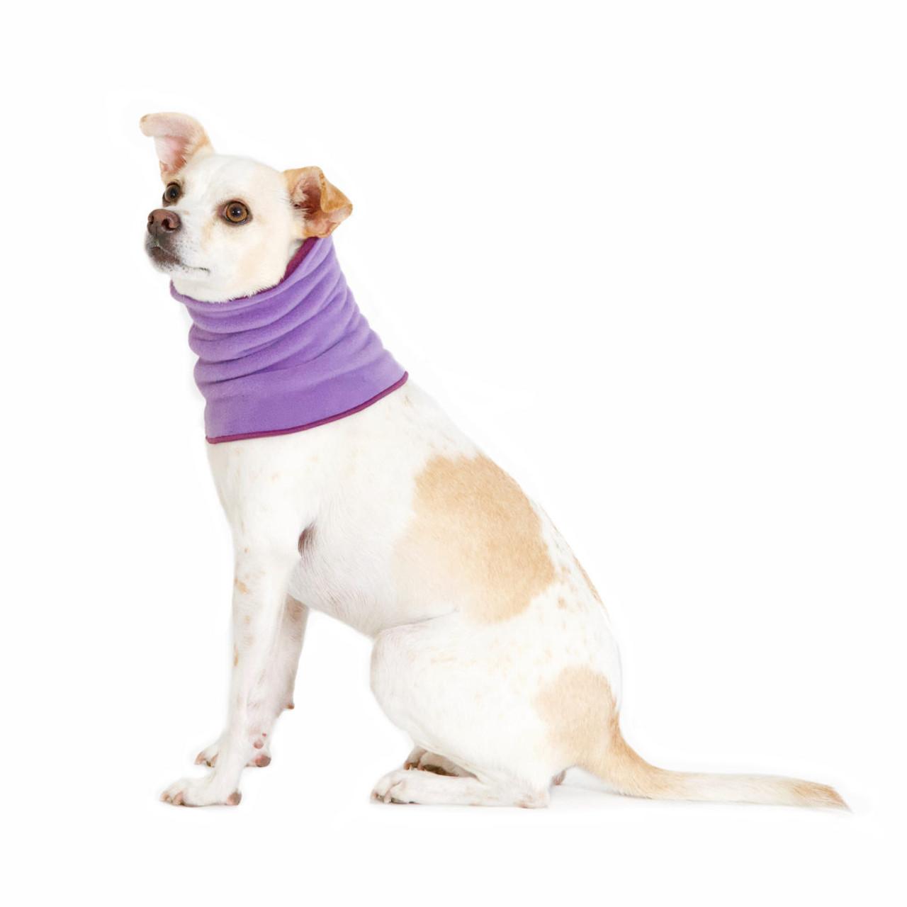 Goldpaw Dog Snood, Lavender/Eggplant, Medium