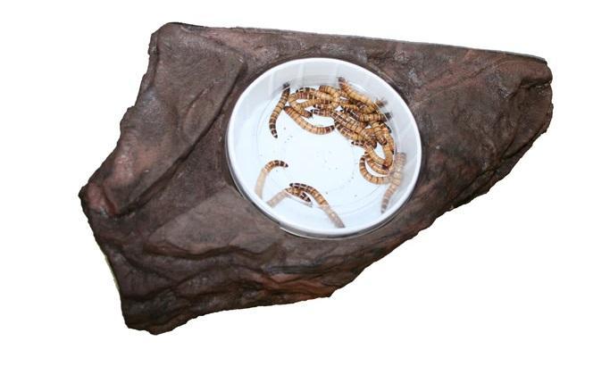 MagNaturals Worm Feeder Ledge Earth for Terrariums
