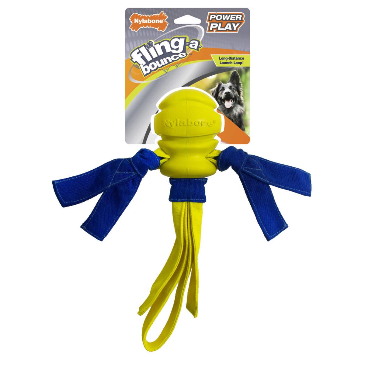 Nylabone Power Play Fling-a-Bounce Dog Toy, 14-in
