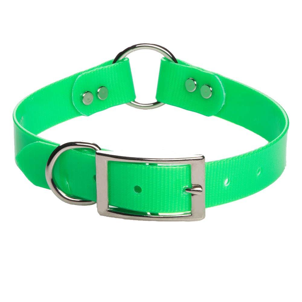 Mendota Pet Biothane Synthetic Safety Collar with Center Ring for Dogs, Green, 1-in x 20-in