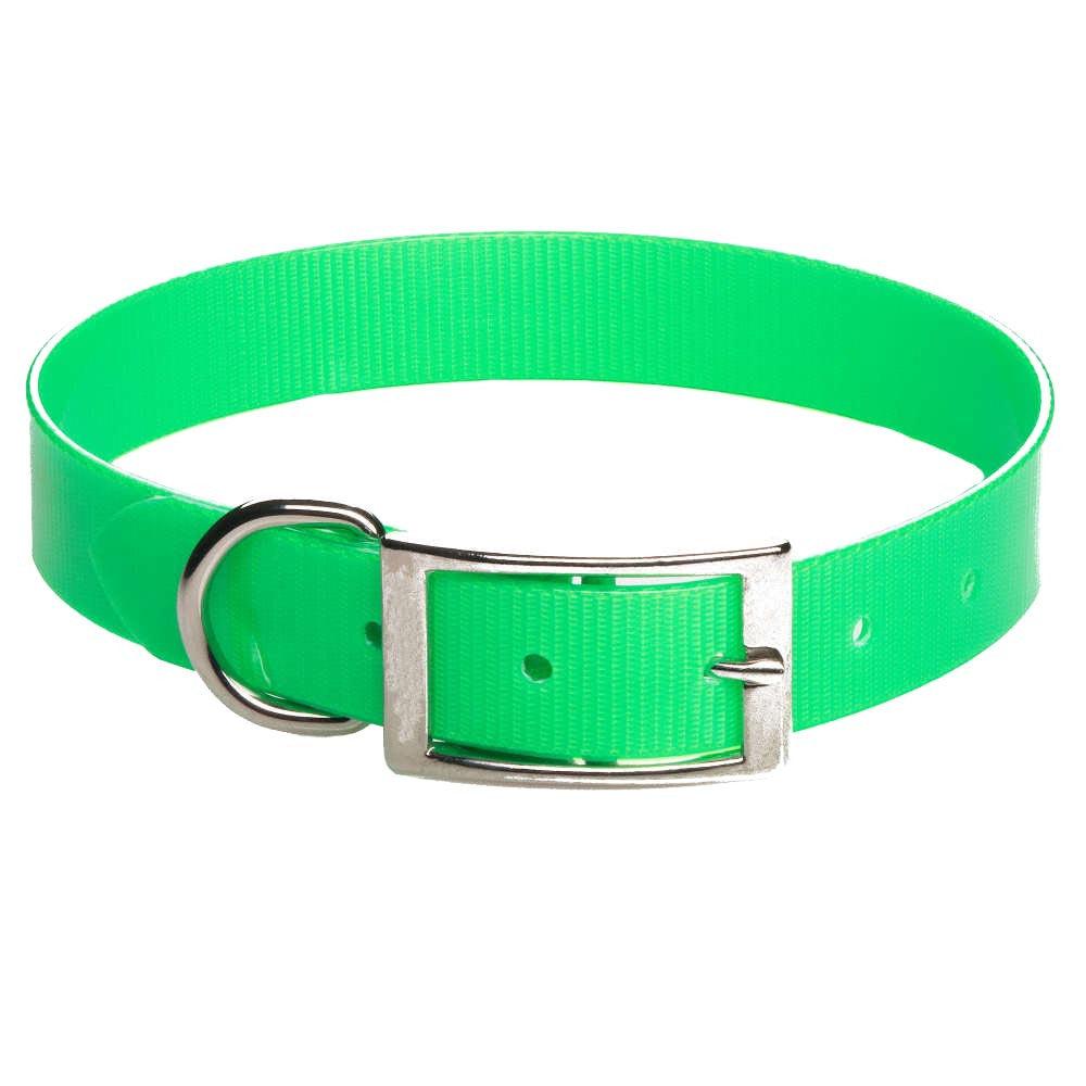 Mendota Pet Biothane Synthetic Standard Dog Collar, Green, 1-in x 18-in