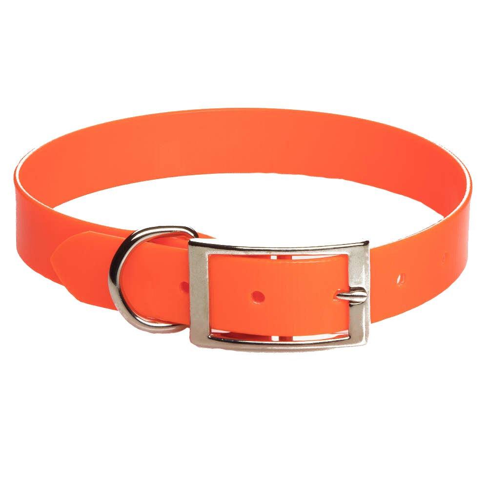 Mendota Pet Biothane Synthetic Standard Dog Collar, Orange, 1-in x 18-in