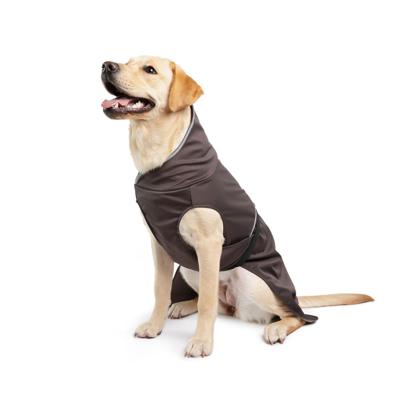 Goldpaw RainPaw II Dog Rain Jacket, Black Bean, 18