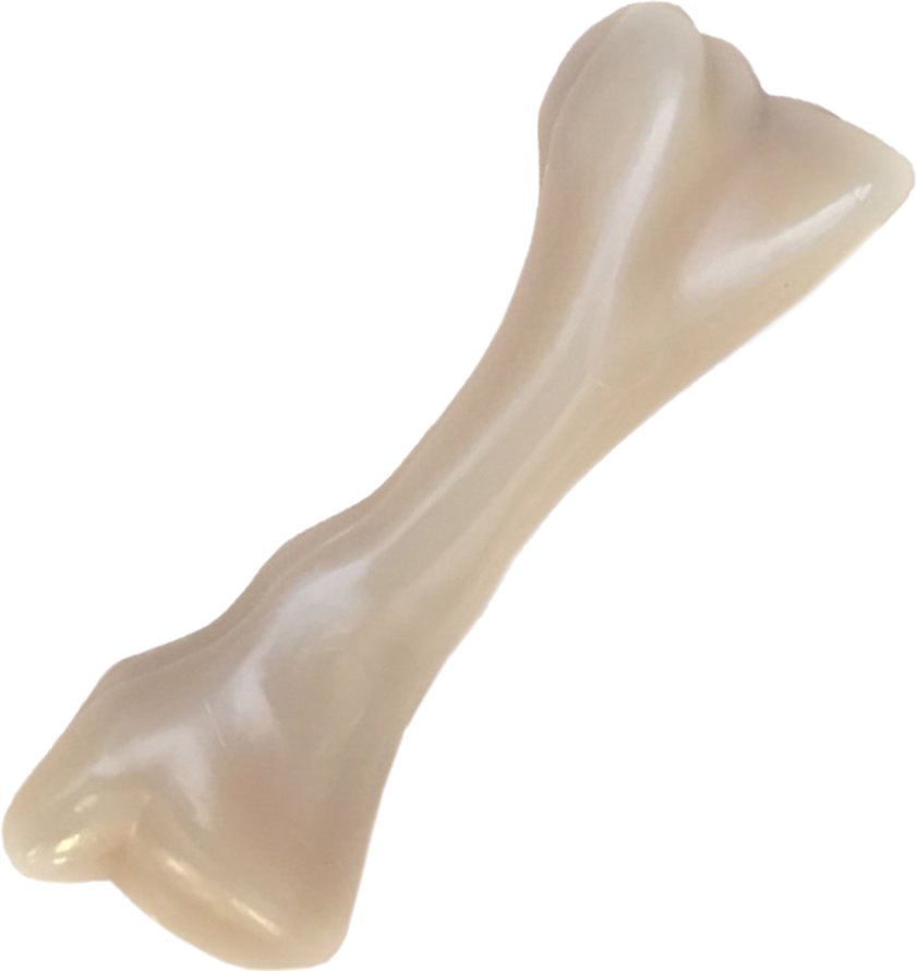 Nylabone DuraChew Beef Bone Alternative Dog Chew Toy, Mini