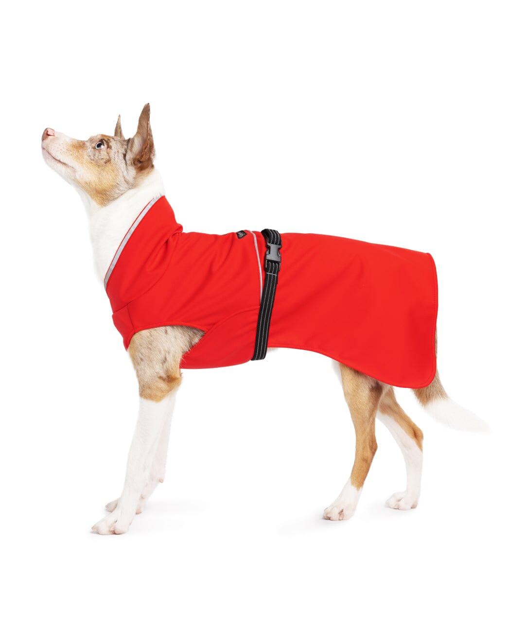 Goldpaw RainPaw II Dog Rain Jacket, Red, 8