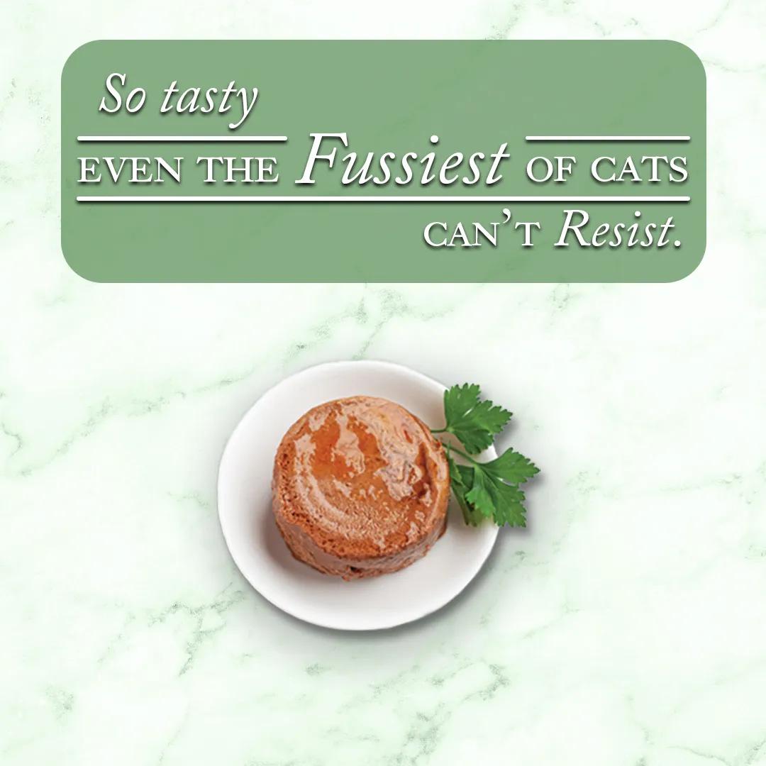 Fussie Cat Fine Dining Pate Oceanfish with Salmon Entree in Gravy Wet Cat Food Can, 2.82-oz