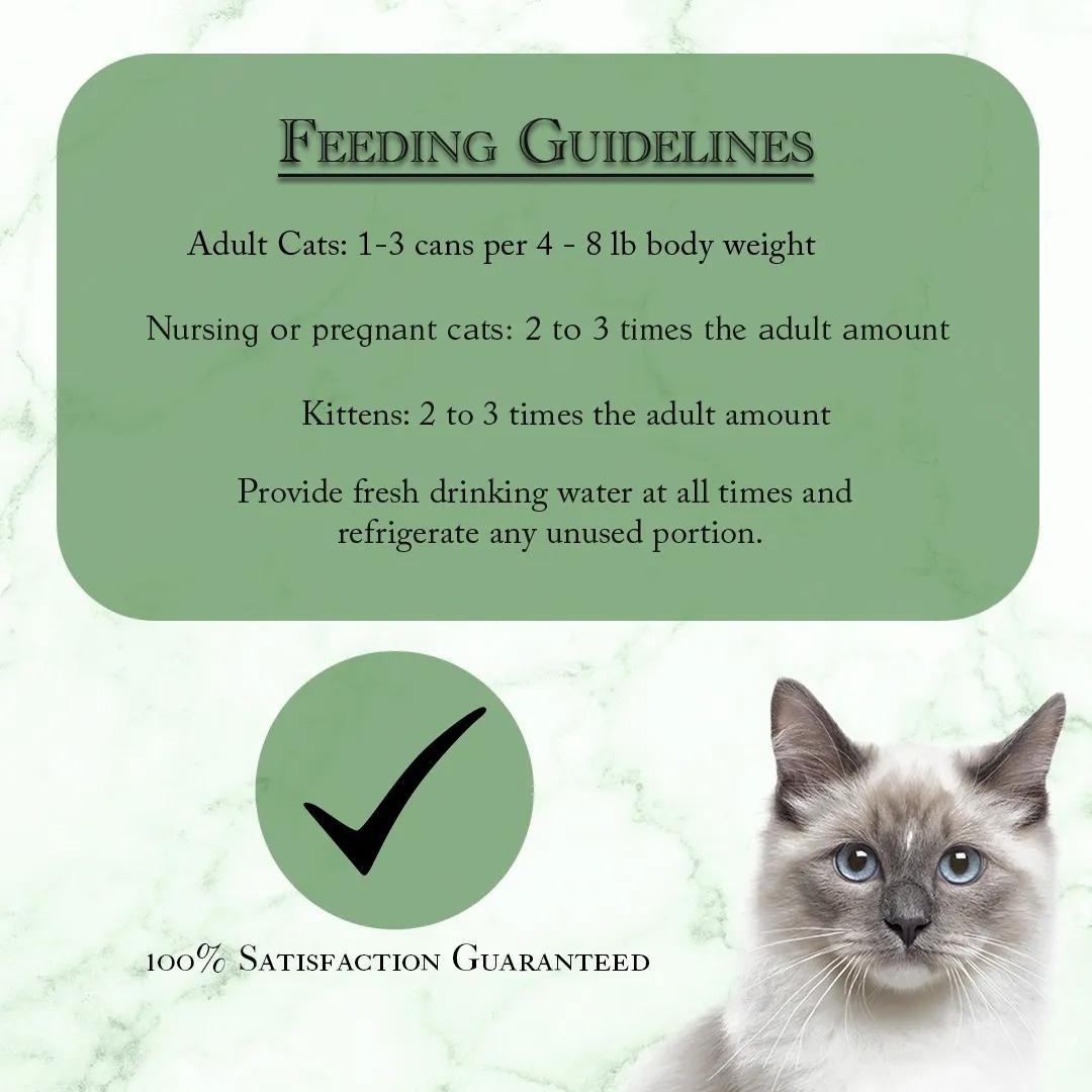 Fussie Cat Fine Dining Pate Oceanfish with Salmon Entree in Gravy Wet Cat Food Can, 2.82-oz