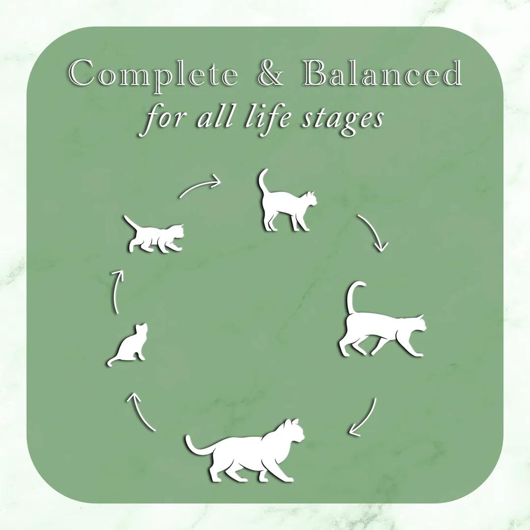 Fussie Cat Fine Dining Pate Oceanfish with Salmon Entree in Gravy Wet Cat Food Can, 2.82-oz