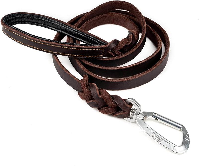 Mighty Paw Braided Leather Dog Leash, Brown