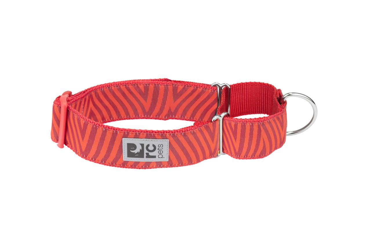RC Pets All Webbing Training Dog Collar, Goji Chevron
