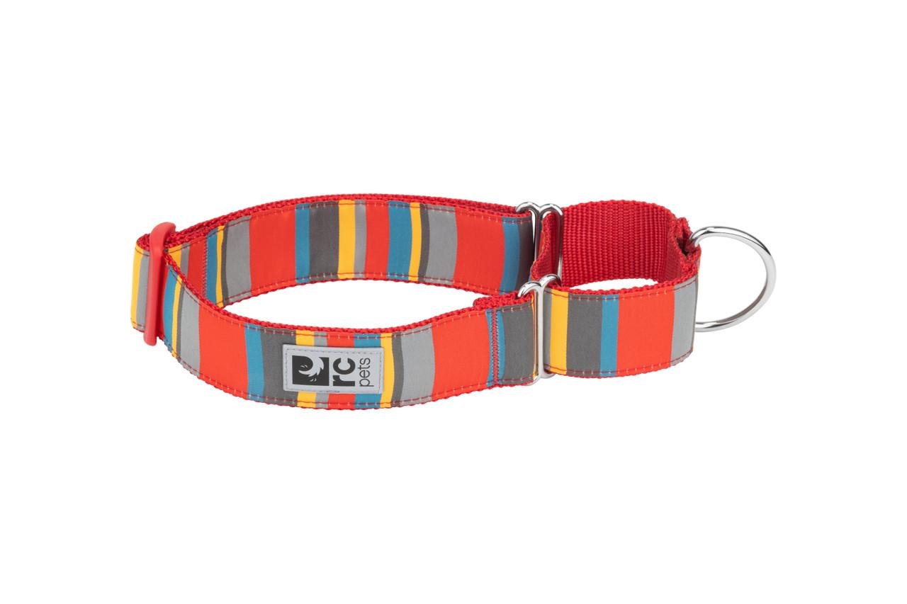 RC Pets All Webbing Training Dog Collar, Multi Stripes, Large