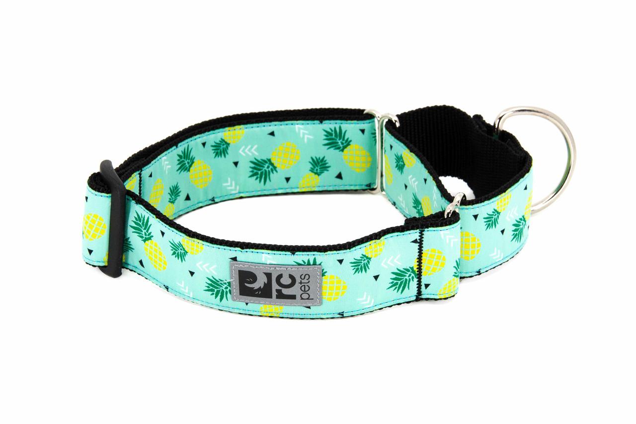 RC Pets All Webbing Training Dog Collar, Pineapple Parade