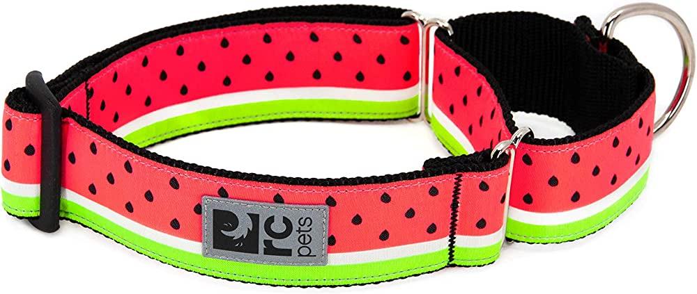 RC Pets All Webbing Training Dog Collar, Watermelon
