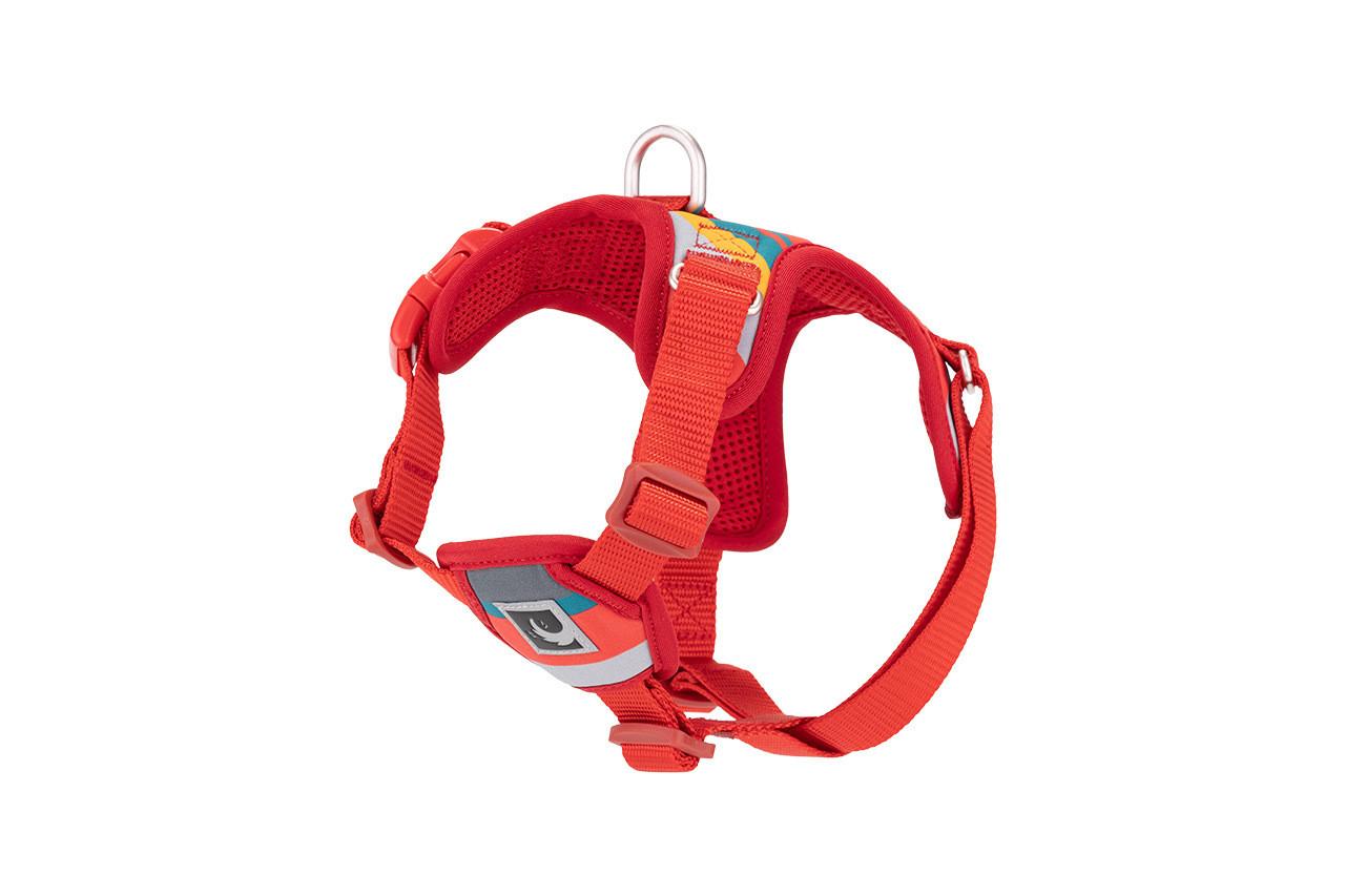 RC Pets Forte Step In Dog Harness, Multi Stripes, Small