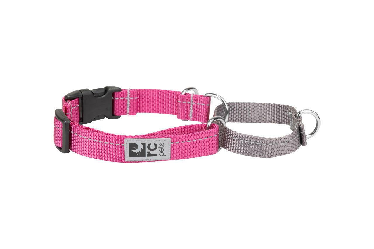 RC Pets Primary Web Training Clip Dog Collar, Mulberry, Medium