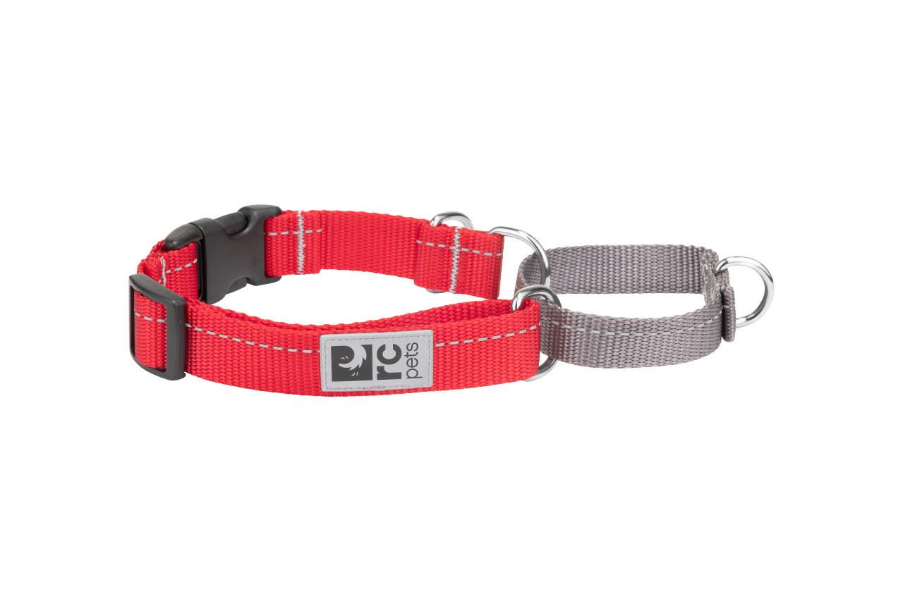 RC Pets Primary Web Training Clip Dog Collar, Red, Small