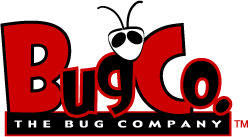 The Bug Company Giant Mealworms Pet Food, Plastic Cup