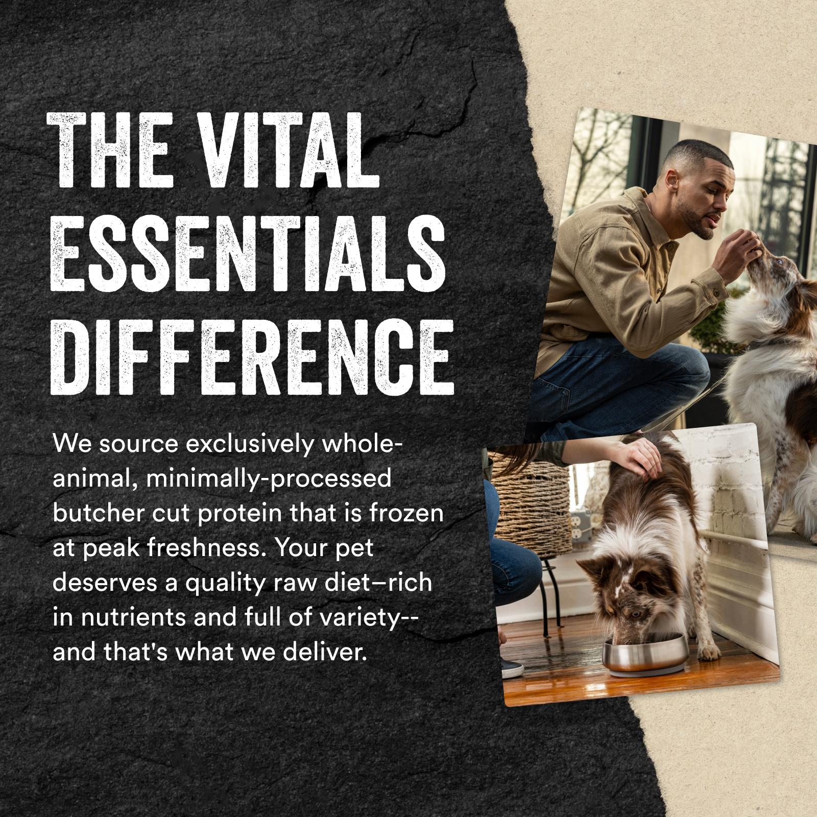 Vital Essentials Duck Bites Freeze-Dried Raw Dog Treats, 5.5-oz
